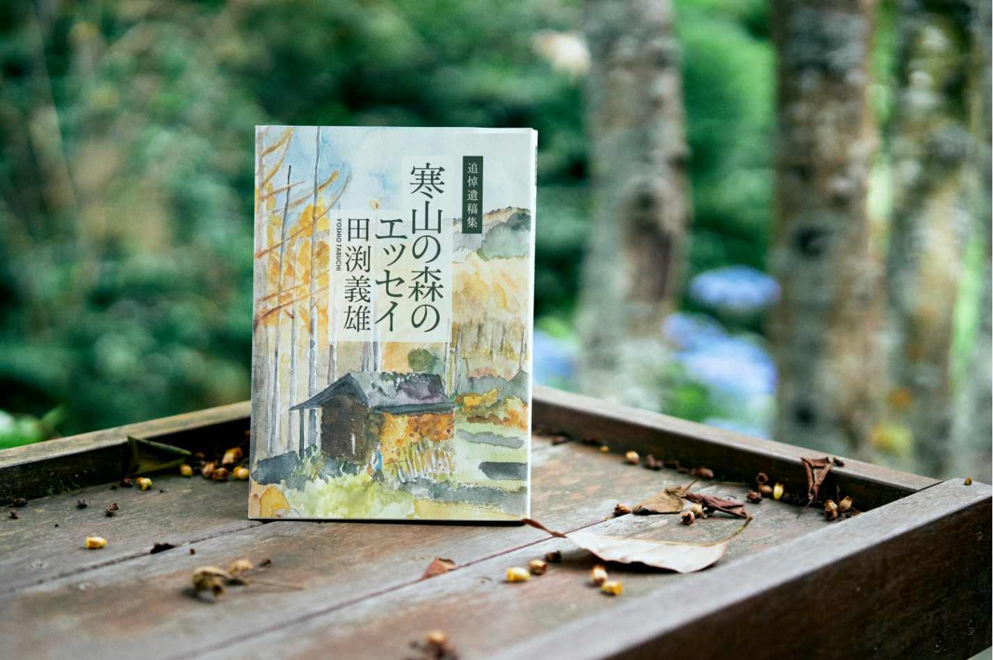 寒山の森のエッセイ
