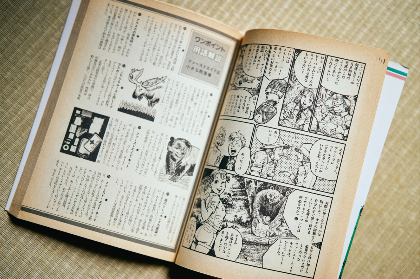 本の紹介