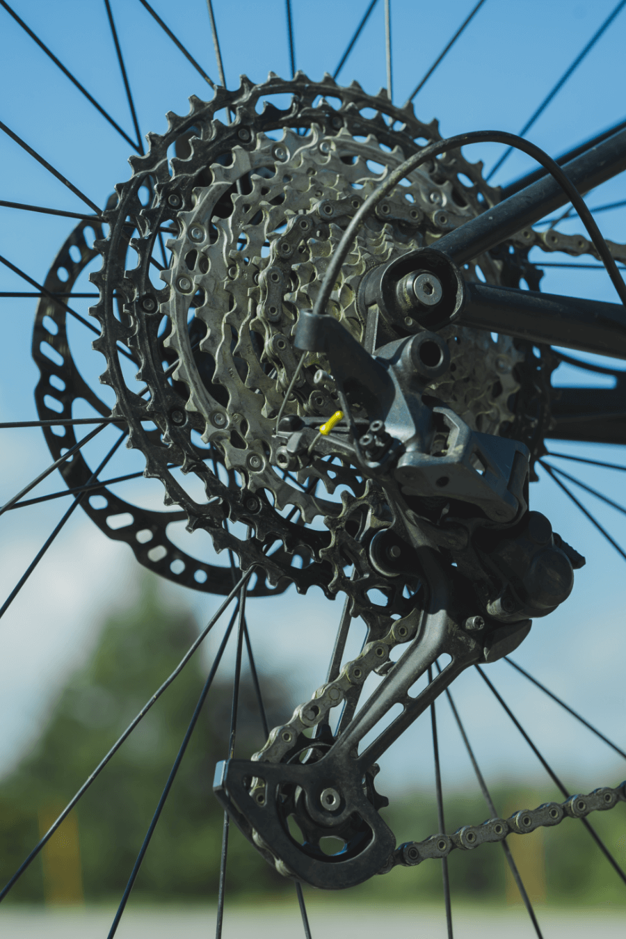 MTB