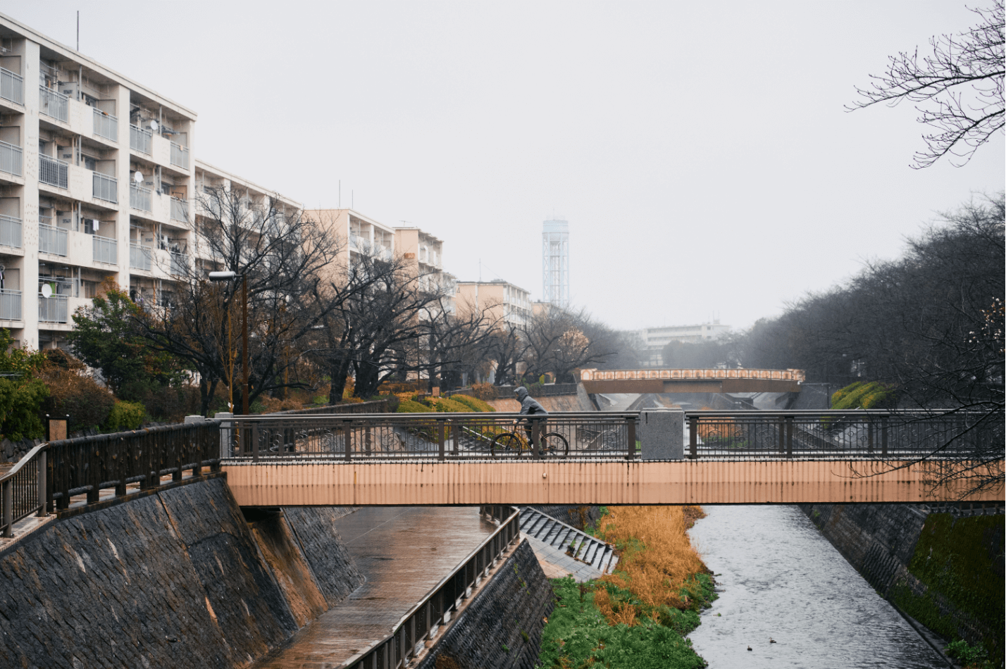 雨の喧騒と静寂