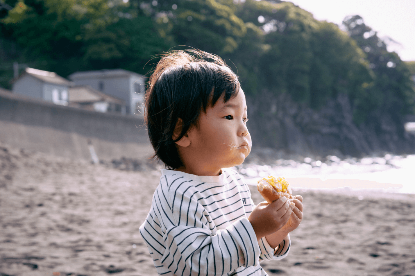 朝の散歩
