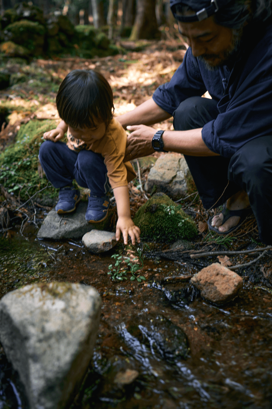 ママに山の恵みをお裾分け