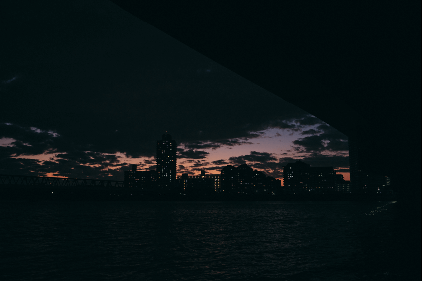 黒い水面を割る、パワフルなシーバス