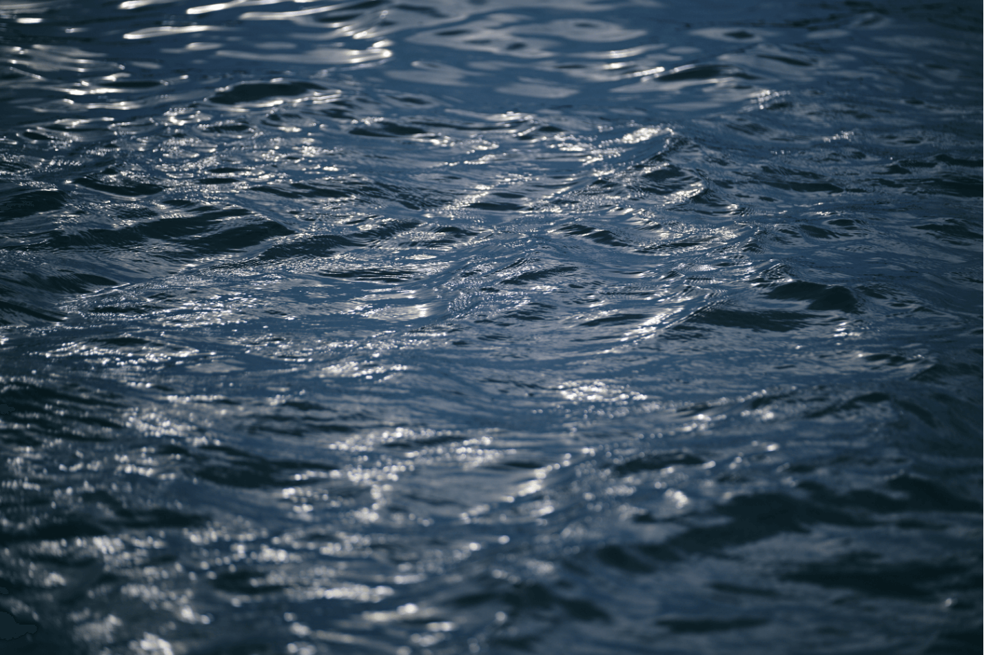 午前の釣りは“勝負のための下見”