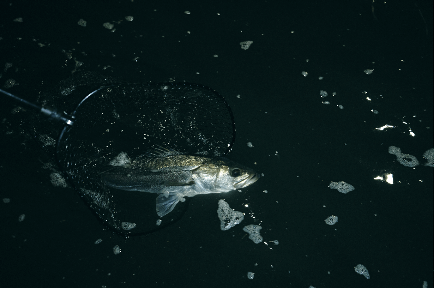 リリースの所作