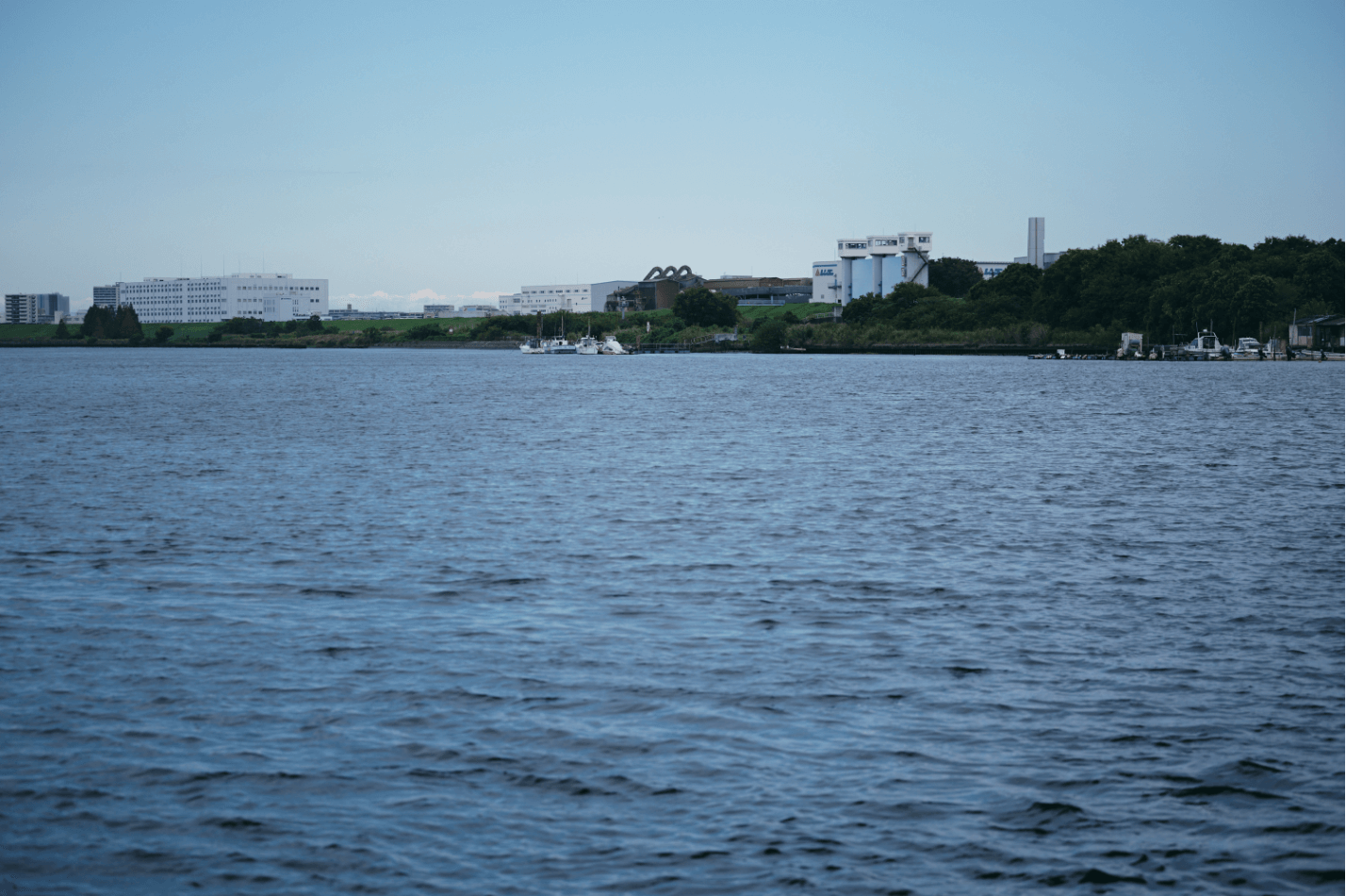 水面を割るシーバスの存在感