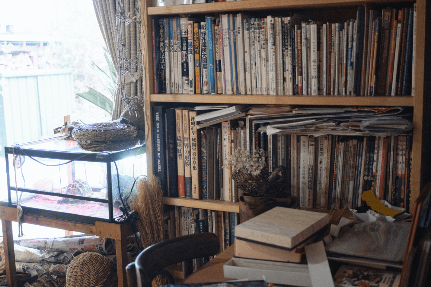 いきものの造形に魅了されて