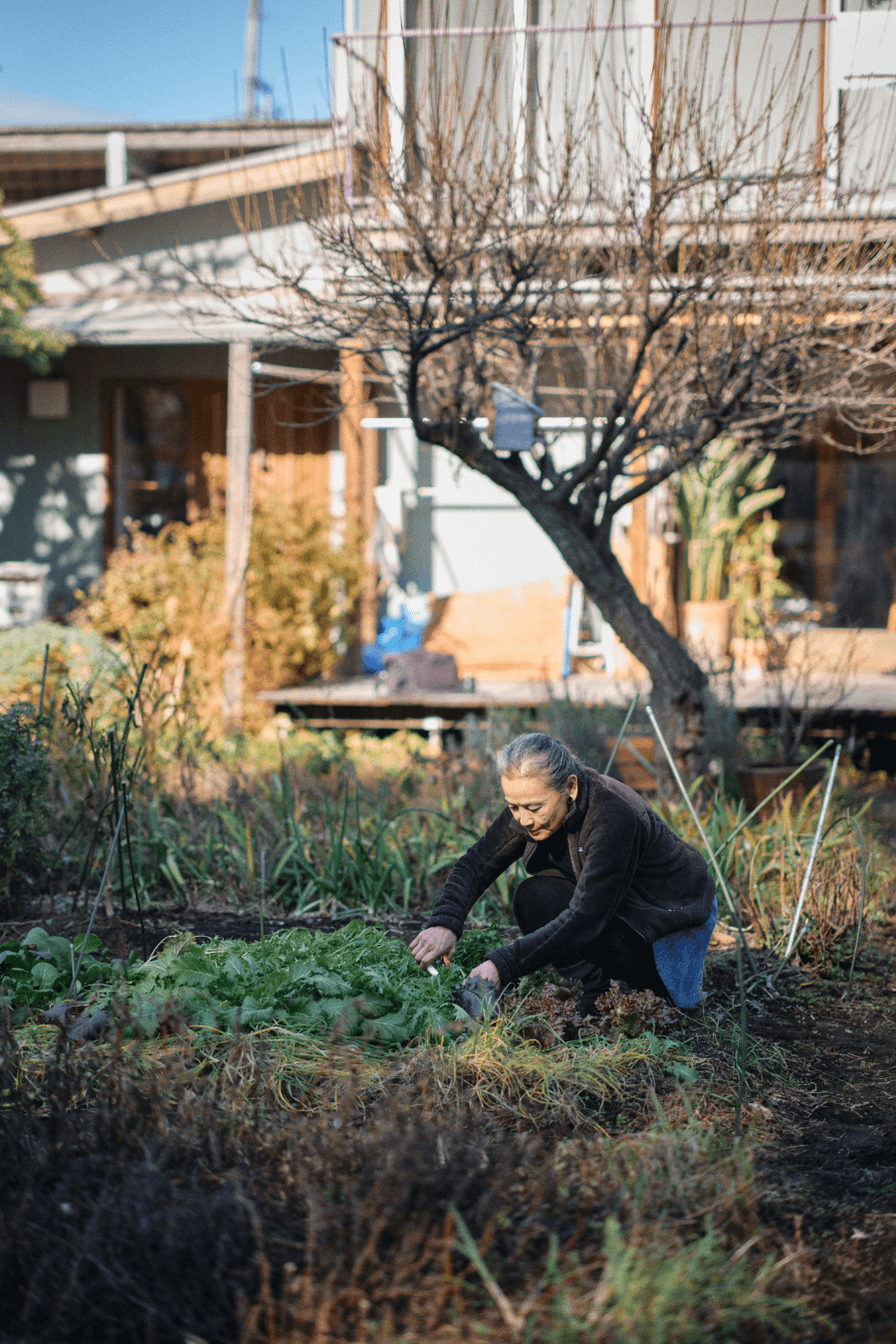 作品づくりは庭づくりから？