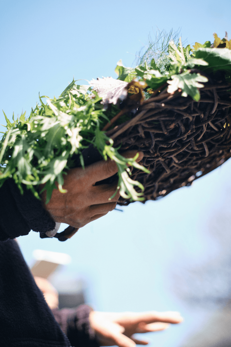 題材は身近にあるお花や植物でした